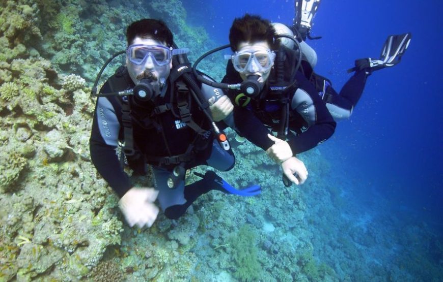 Scuba Diving Adventure Tour with Lunch
