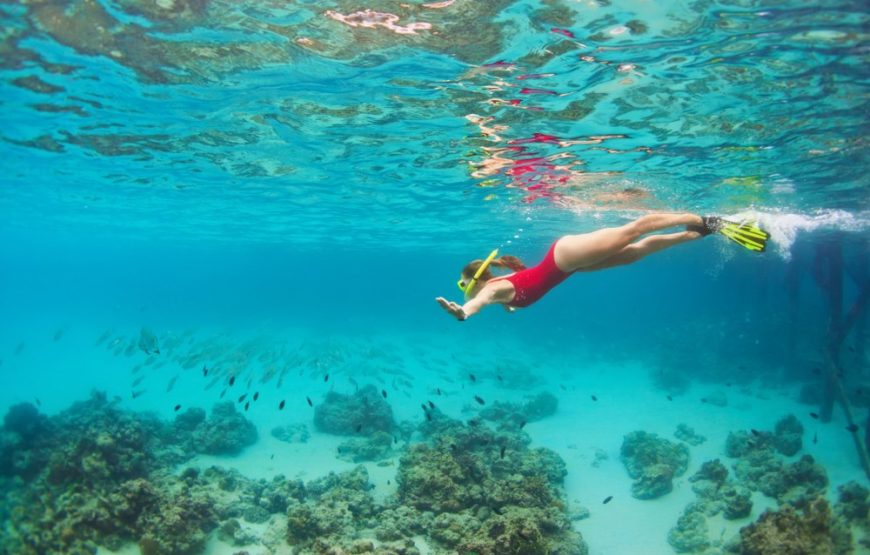 Full-Day Snorkeling Trip to Utopia Island from Hurghada