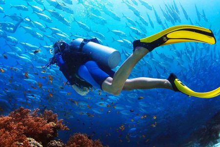 Scuba Diving Discovery