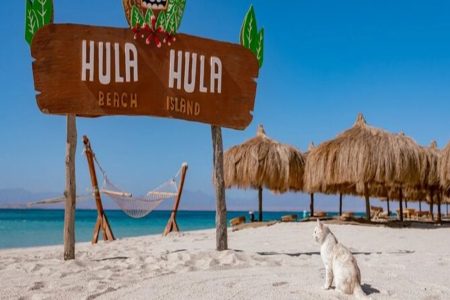 Hula Hula Island