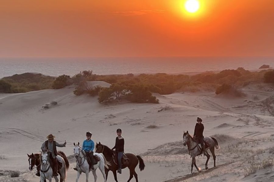 Horse and camel riding hurghada